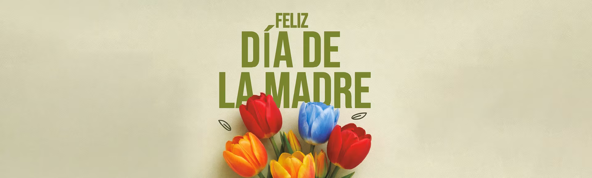 https://img.uniform.global/p/-_rIHX3uRuChpQlE57cM0A/tJgAMlLUTziEEd-X0HYdFg-HB-DIA-DE-LA-MADRE-WEB_025.jpg